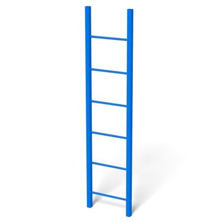 Лестница кровельная, стеновая без кронштейнов RAL5005